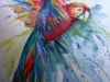 papagaai-aquarel